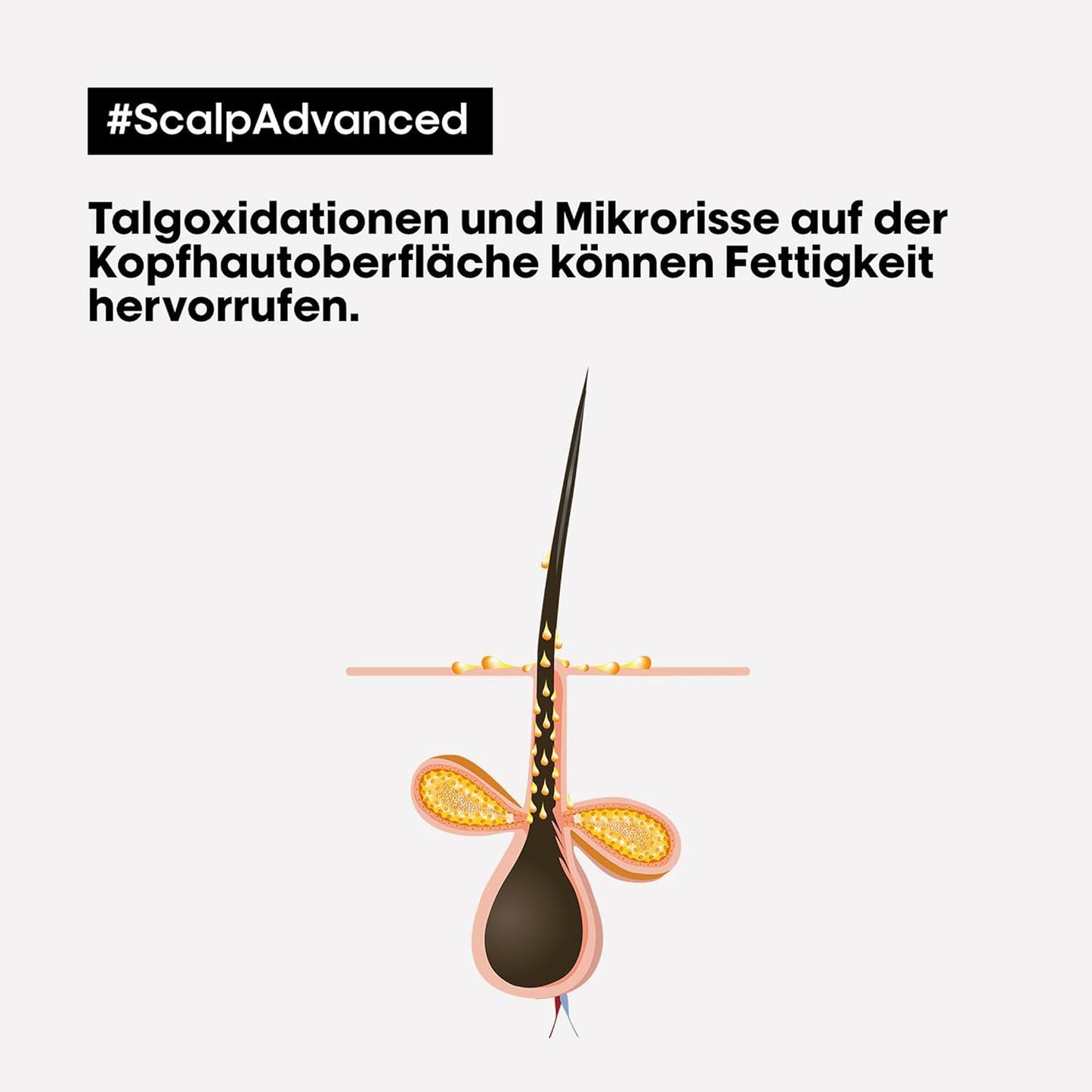 L'Oréal Professionnel Serie Expert Scalp Advanced Anti-Fettend 2-in-1 Deep Purifier Clay