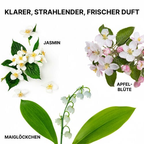 Color WOW Insta-Wow Fortschrittliches Trockenshampoo